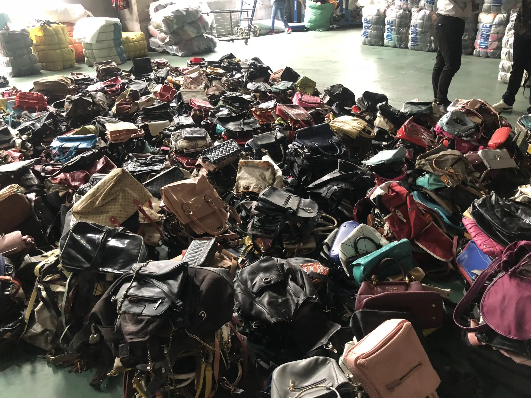 Backpacks & School Bags